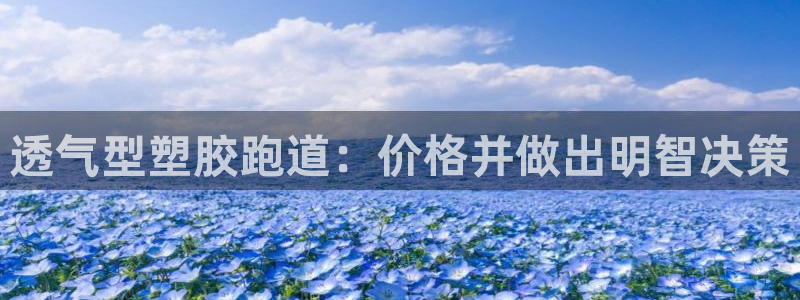 谈球吧官网入口：透气型塑胶跑道：价格并做出明智决策