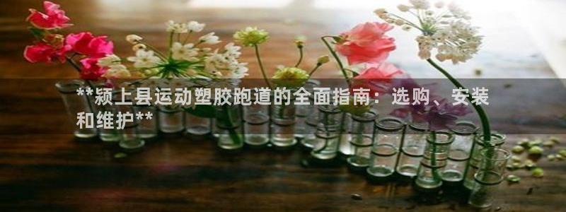 谈球吧平台正规吗：**颍上县运动塑胶跑道的全面指南：