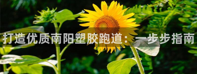 谈球吧官网在线入口免费观看高清版：打造优质南阳塑胶跑