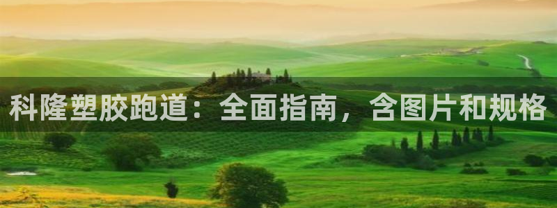 谈球吧app赛事分析报告模板：科隆塑胶跑道：全面指南，含图片和规格