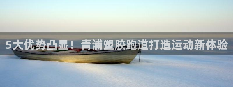 谈球吧网页登陆：5大优势凸显！青浦塑胶跑道打造运动新