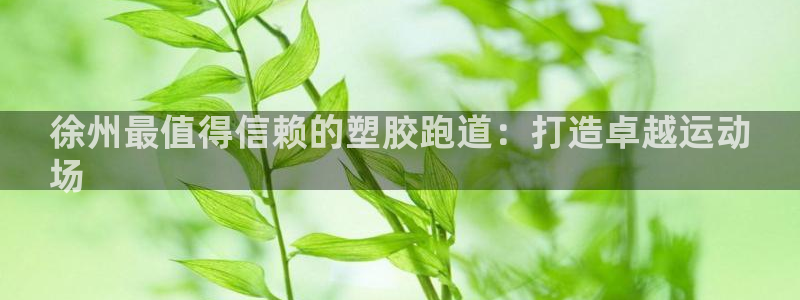 谈球吧的聊天软件叫什么名字：徐州最值得信赖的塑胶跑道