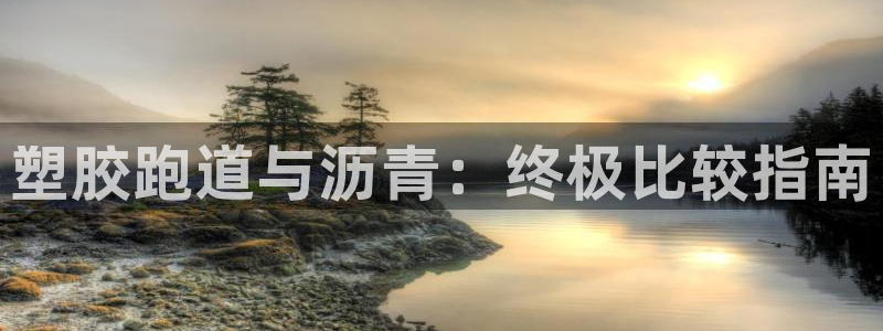 谈球吧登录地址：塑胶跑道与沥青：终极比较指南