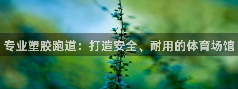 谈球吧娱乐app下载官网苹果版：专业塑胶跑道：打造安