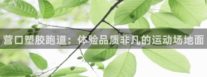 谈球吧体育app下载中心官方网站：营口塑胶跑道：体验