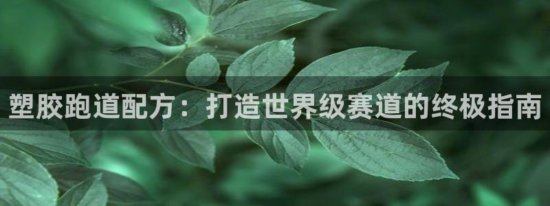 谈球吧APP开元：塑胶跑道配方：打造世界级赛道的终极