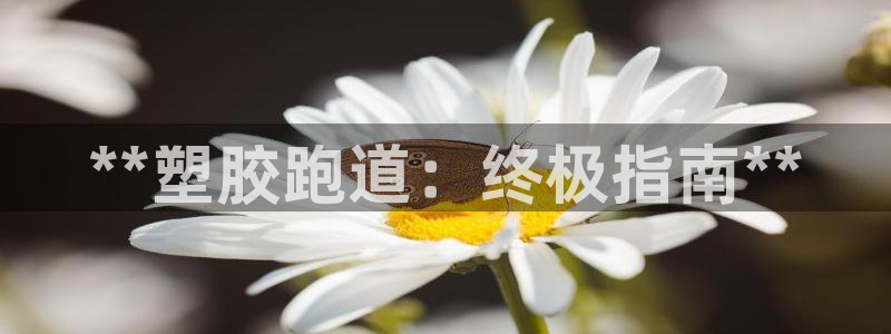 谈球吧体育综合：**塑胶跑道：终极指南**