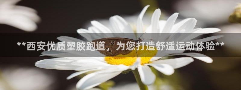 谈球吧体育app登陆不了：**西安优质塑胶跑道，为您打造舒适运动体验**