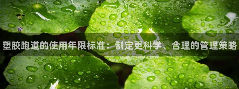 谈球吧体育app下载中心官方网站:塑胶跑道的使用年限标准:制